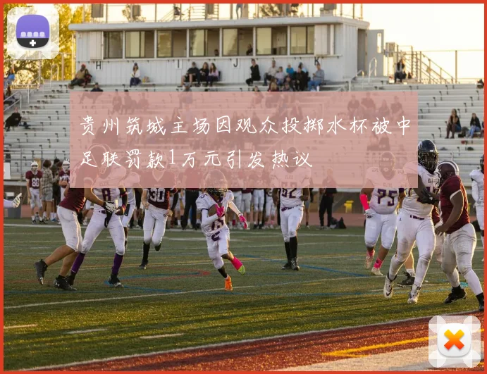 贵州筑城主场因观众投掷水杯被中足联罚款1万元引发热议