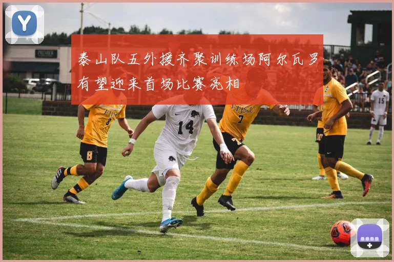 泰山队五外援齐聚训练场阿尔瓦罗有望迎来首场比赛亮相